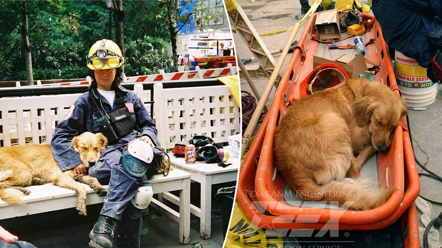 The Unforgettable Bond: How a Blind Man and His Guide Dog Escaped the Twin Towers on 9/11