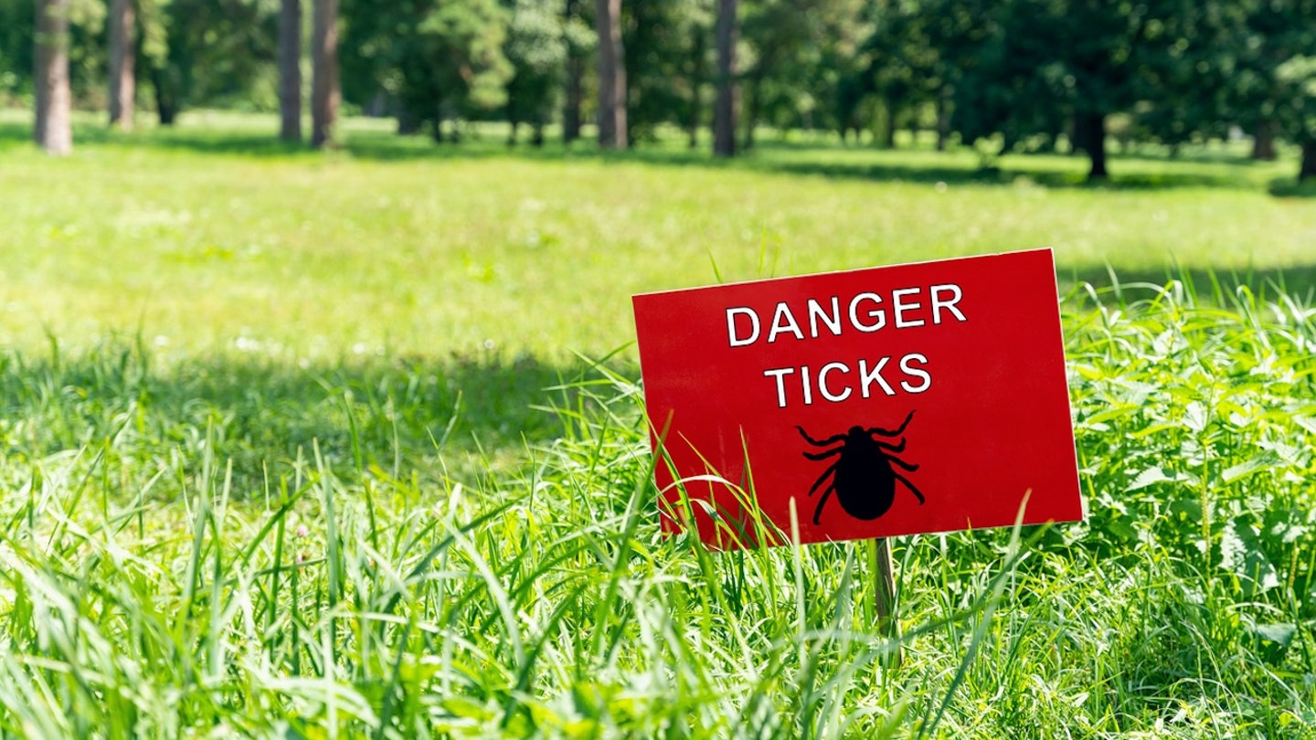 danger ticks