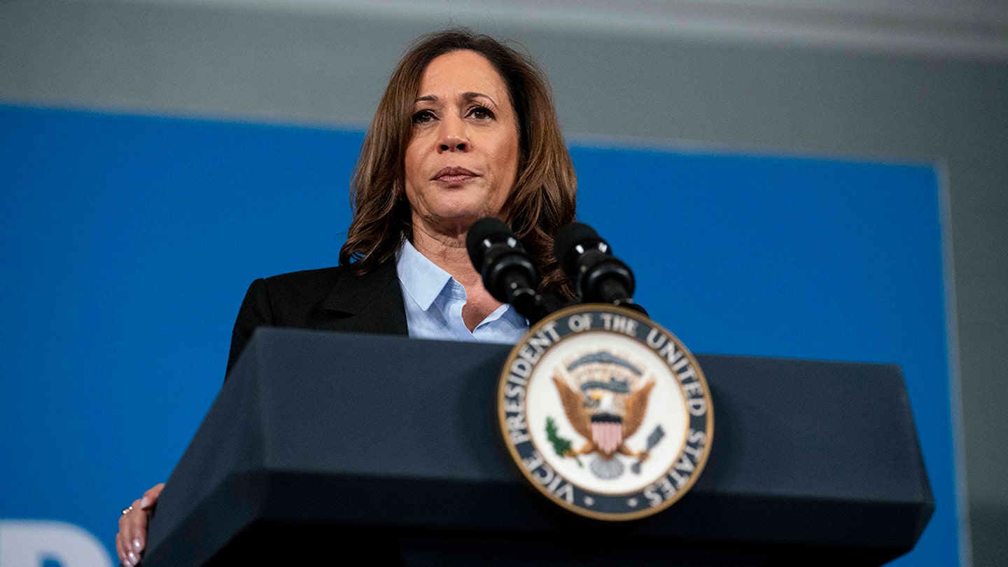 Kamala Harris's Immigration Policy Shift Draws Criticism from Liberal Groups