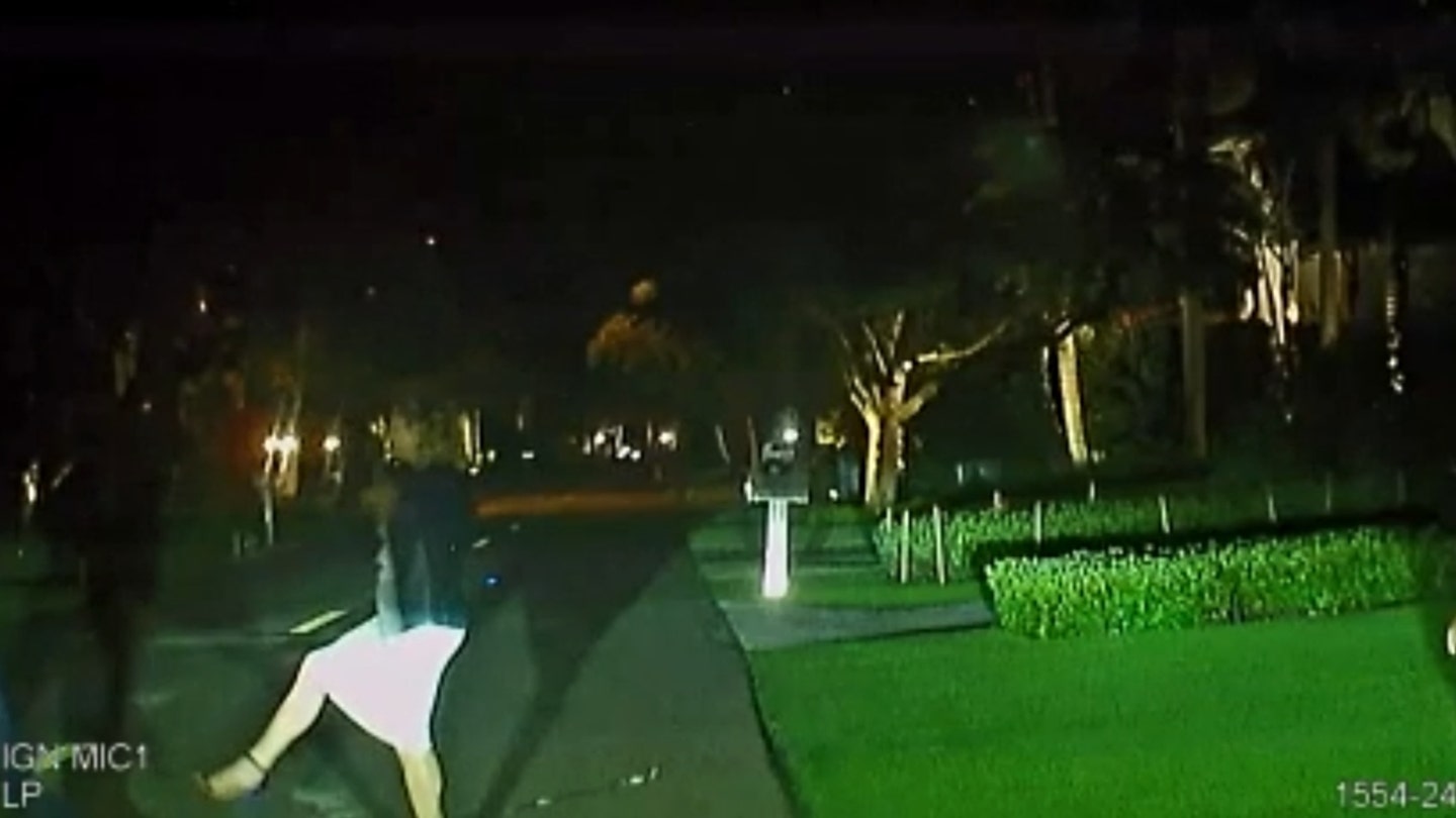 Naples Mayor's Field Sobriety Test Video Released Amid DUI Arrest