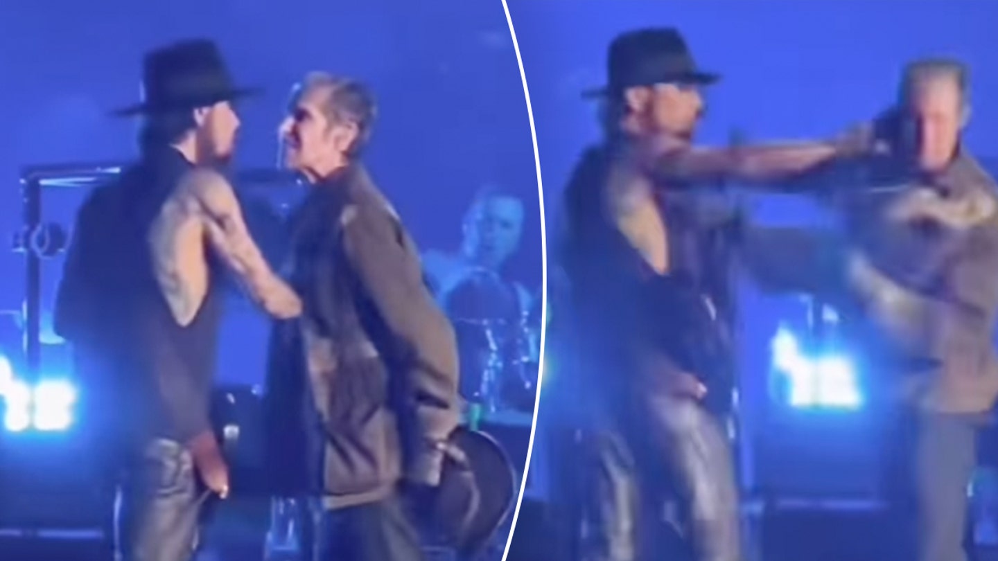 Jane's Addiction's Perry Farrell and Dave Navarro Brawl During Concert