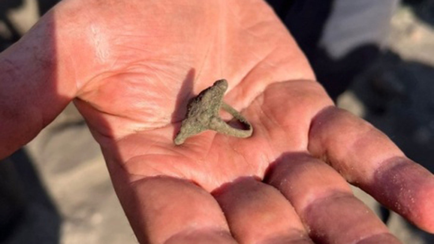 Rare Pictish Ring Unearthed by Archaeologist in Scotland