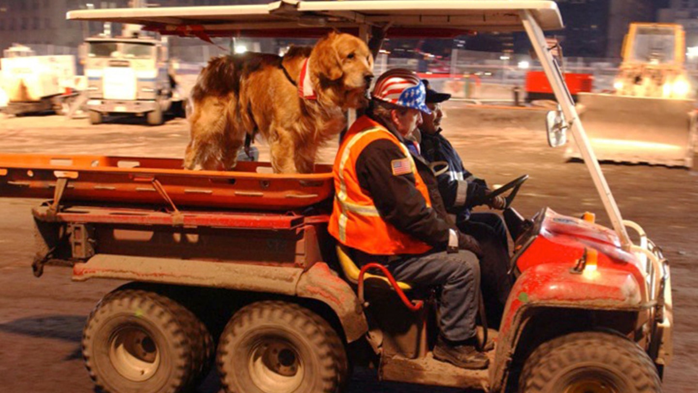 The Unforgettable Bond: How a Blind Man and His Guide Dog Escaped the Twin Towers on 9/11