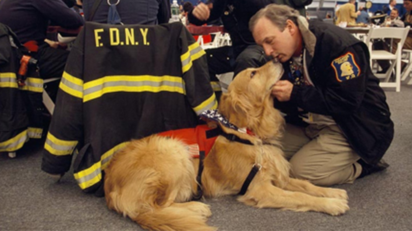 The Unforgettable Bond: How a Blind Man and His Guide Dog Escaped the Twin Towers on 9/11