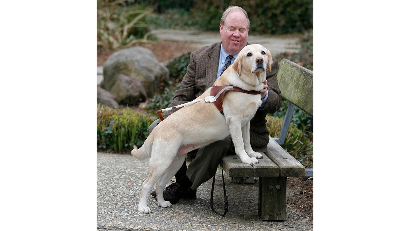 The Unforgettable Bond: How a Blind Man and His Guide Dog Escaped the Twin Towers on 9/11