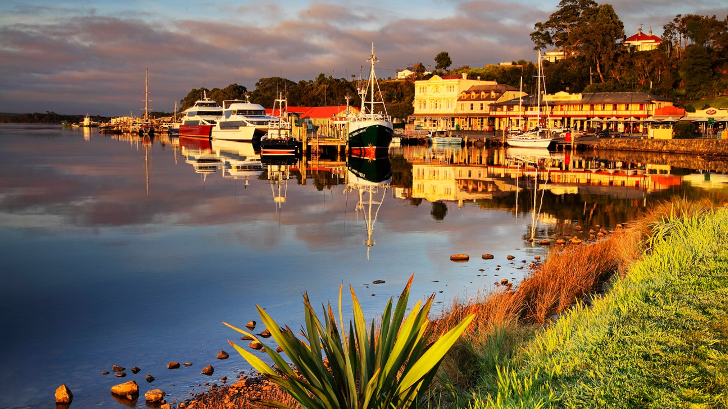 Ancient Forest Unearthed in Tasmania, Revealing Earth's Drastic Climate Shifts