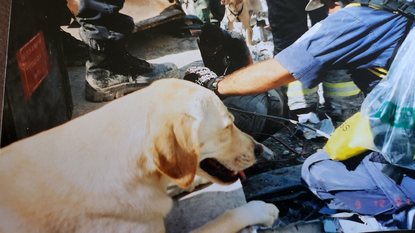 The Unforgettable Bond: How a Blind Man and His Guide Dog Escaped the Twin Towers on 9/11