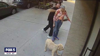 NYC woman, 81, walking dog feels 'lucky' to be alive after video shows man brutally punching her in the face - Fox News