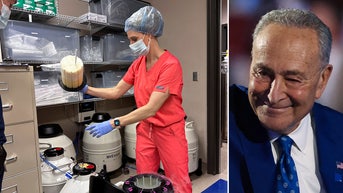 Republicans block Dem-backed IVF bill revived by Chuck Schumer - Fox News