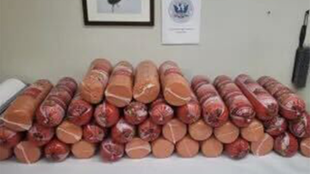 Woman caught smuggling more than 700 pounds of bologna at southern border: CBP - Fox News