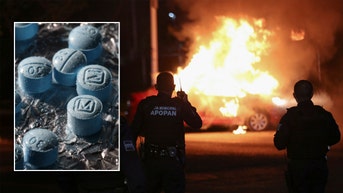 80,000 American lives a year: The case for a congressional war on cartels - Fox News