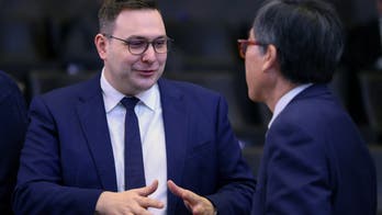 Czech foreign minister highlights lack of European leadership, failure to 'project geopolitical power'
