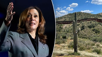 Harris visits crucial border state as immigration record sparks scrutiny: A timeline