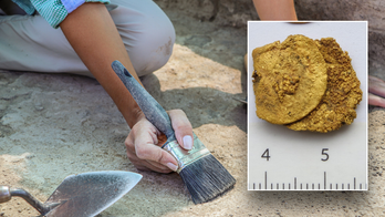 Archaeologists stumble upon priceless gold coins in unusual location