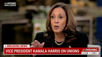 Kamala Harris confronted on not earning Teamsters endorsement: 'What was their reasoning?'