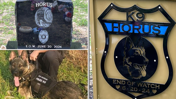 Tragedy Strikes Missouri: K-9 Officer Dies After Being Left in Hot Car