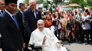 Pope Francis' 'Childless Cat Lady' Comment Sparks Backlash