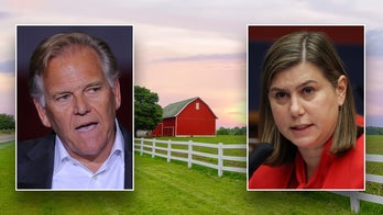 'Pretty damn significant': Slotkin suffers blow in Michigan as farm bureau jilts Dems to endorse GOP candidate