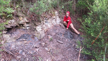 Unearthing Ancient Tasmanian Ecosystems: Uncovering New Plant Species and Revealing Past Climates