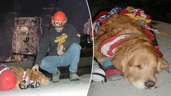 The Unforgettable Bond: How a Blind Man and His Guide Dog Escaped the Twin Towers on 9/11