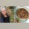 Chicory an all-natural alternative to chemically decaffeinated coffee, says homesteader