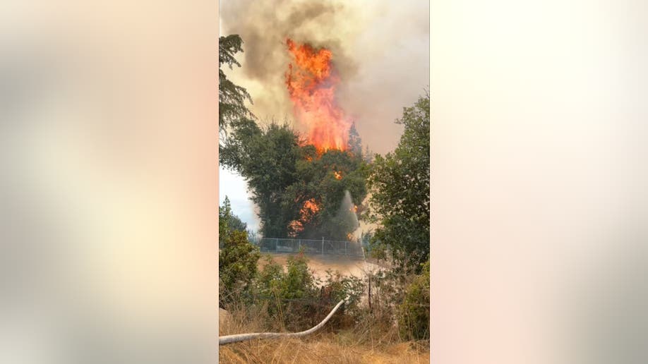 incendio en el kibutz Manara