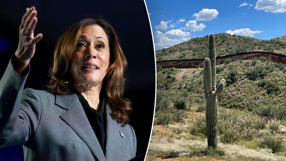 Harris visits crucial border state as immigration record sparks scrutiny: A timeline