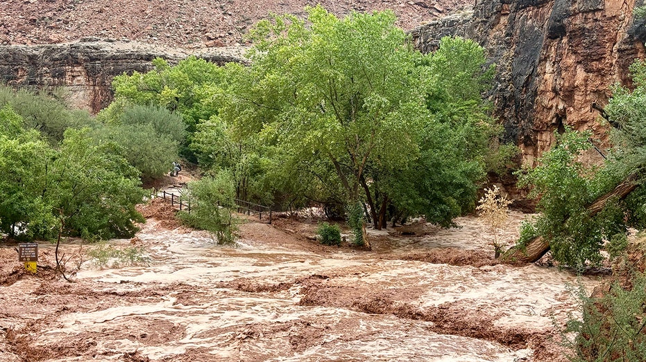 Texas hiker says Grand Canyon flash flood rescue was 'craziest day'