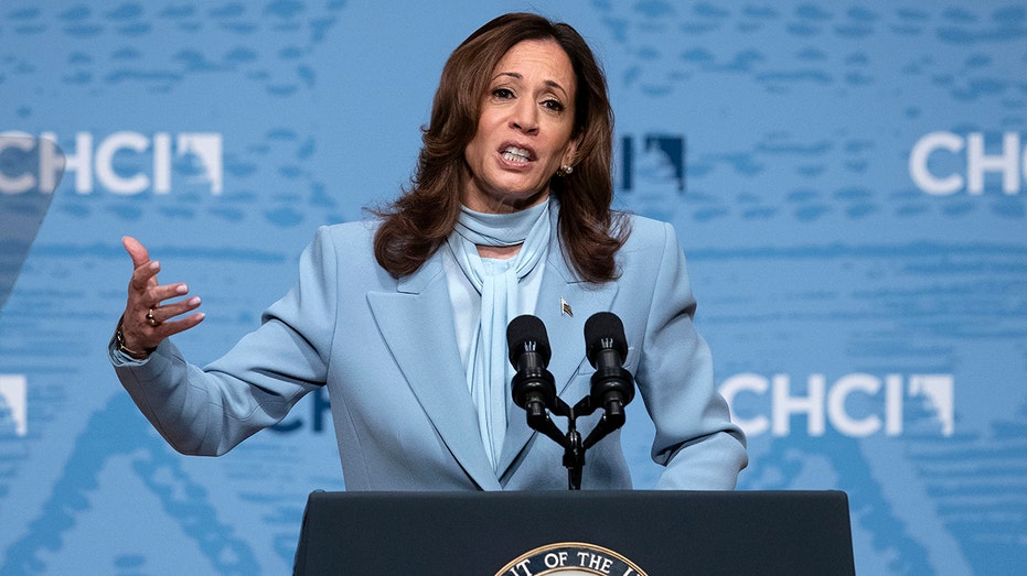 Harris campaign aide argues voters 'shouldn't read too much' into lack of interviews