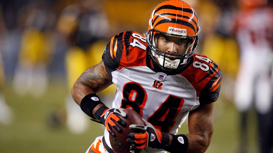 Ex-Bengals star TJ Houshmandzadeh rips refs after team’s close loss: ‘Terrible calls’