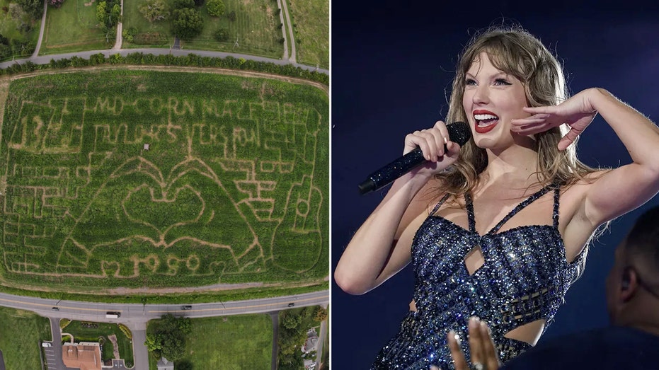 Taylor Swift-inspired corn mazes in Ohio and Maryland go viral: 'She's real special' thumbnail