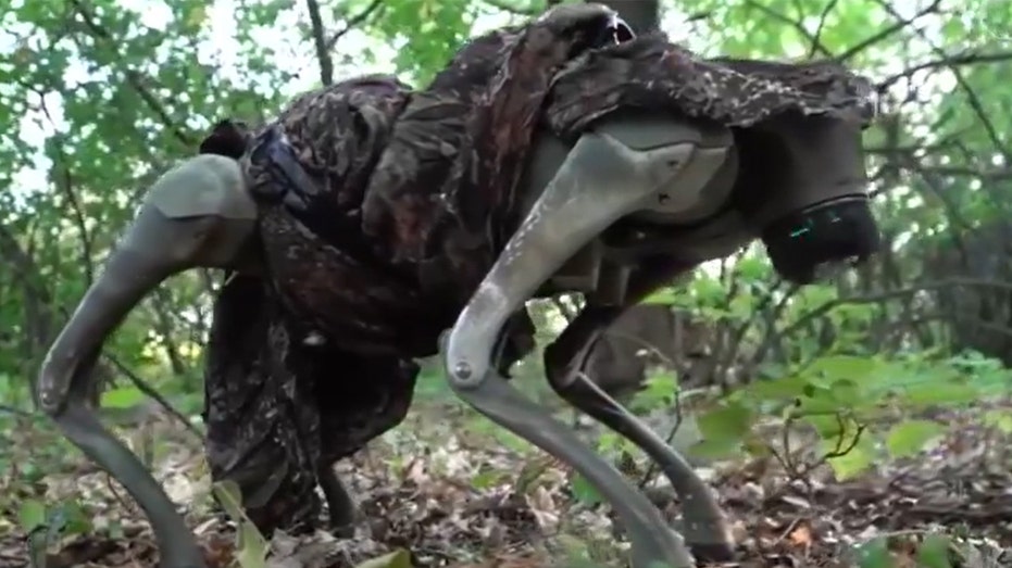 Ukraine shows off capabilities of new drone-dropped, flamethrowing robotic war dogs: video thumbnail