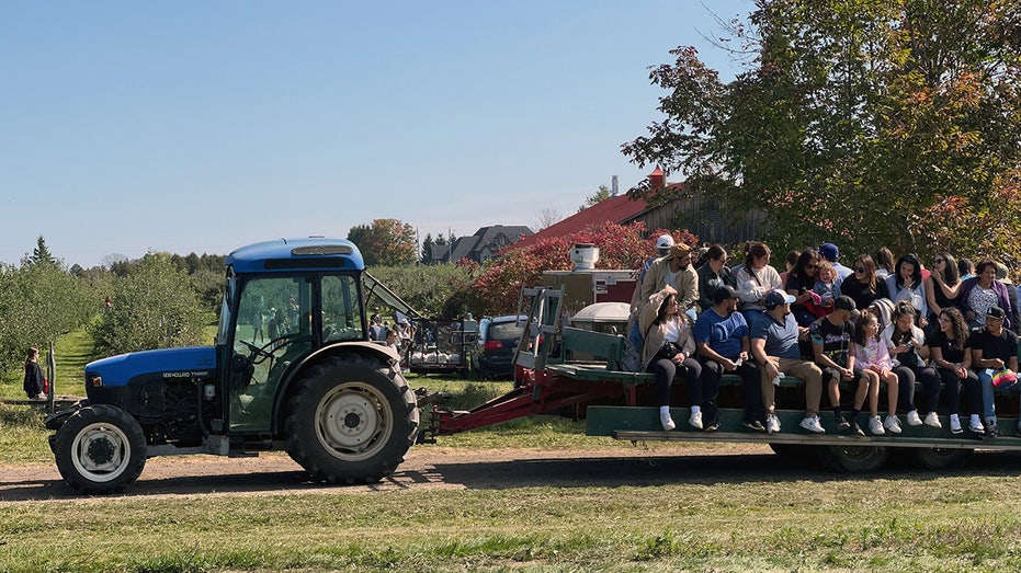 Wisconsin field trip children, adults injured in tractor and wagon accident at apple orchard thumbnail