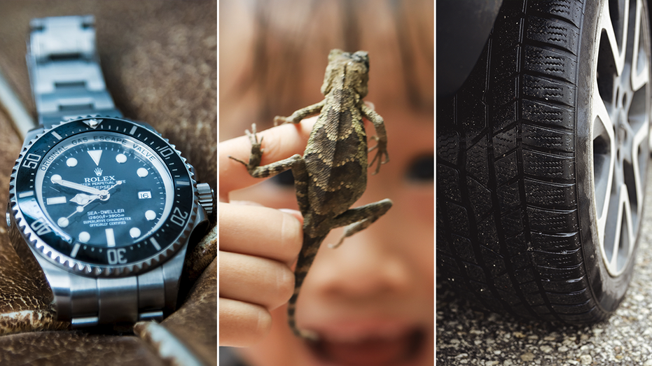 From a car tire to a Rolex and more, the most bizarre items left in hotel rooms thumbnail