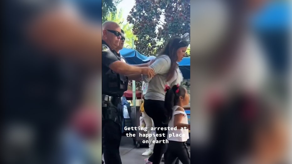 Woman arrested at Disneyland for failing to show ID: video thumbnail