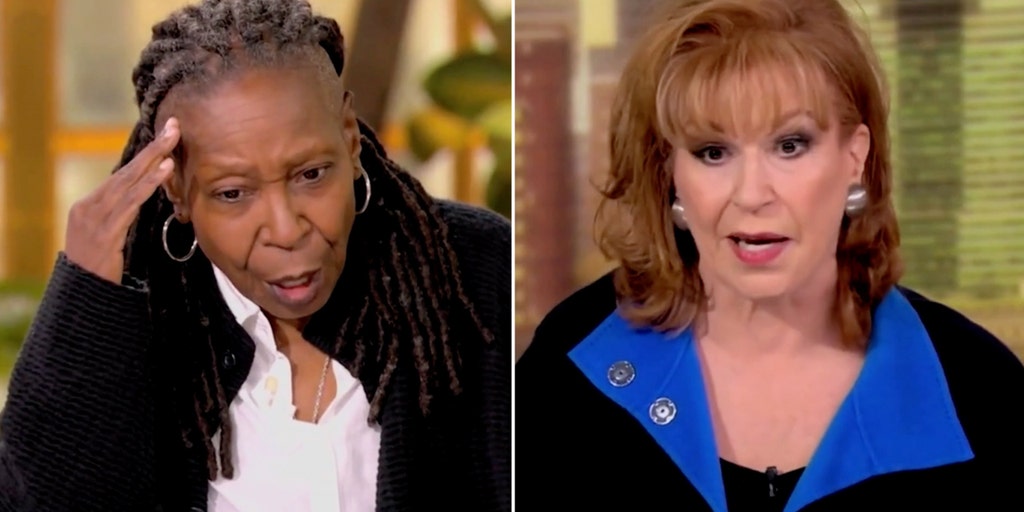 'The View' co-hosts Whoopi Goldberg, Joy Behar exasperated with undecided  voters as Election Day approaches | Fox News