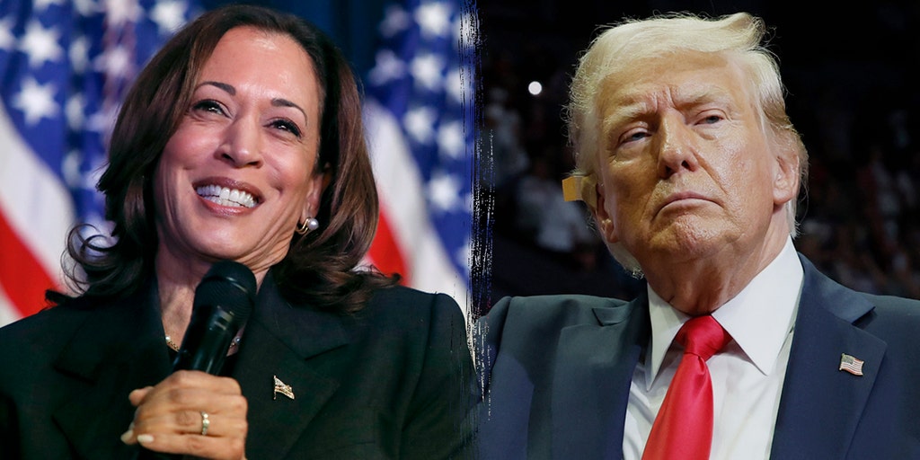 Harris holds small national lead as Trump increases his edge on the economy: poll