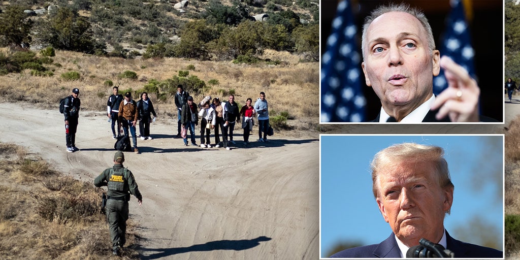 Scalise details Trump's vision on securing border in first 100 days