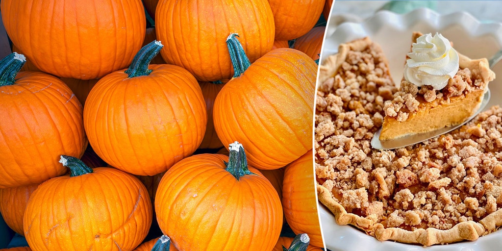 ☆pumpkin pie☆ Combo of flavors in snickerdoodle pumpkin pie are 'perfect match