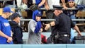 A law enforcement officer talks with a fan who reached over the outfield wall to catch a fly ball by New York Yankees' Gleyber Torres during the ninth inning in Game 1 of the baseball World Series, Friday, Oct. 25, 2024, in Los Angeles. - Fox News