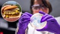 E. coli outbreak linked to McDonald&rsquo;s burgers: How to spot the symptoms - Fox News