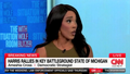 Political commentator Ameshia Cross warned that Vice President Harris is facing warning signs among Arab and Muslim communities, especially in key battleground states like Michigan. - Fox News