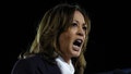Democratic presidential nominee, U.S. Vice President Kamala Harris, speaks during a campaign rally on the Ellipse on Oct. 29, 2024 in Washington, DC. - Fox News