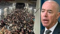 This split shows DHS Secretary Alejandro Mayorkas and Afghan evacuees - Fox News