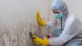 Hurricane flooding: 3 health warnings about mold growing in your home - Fox News