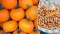 Pumpkins, left, are one-half of the combined flavors of the snickerdoodle pumpkin pie, right. - Fox News