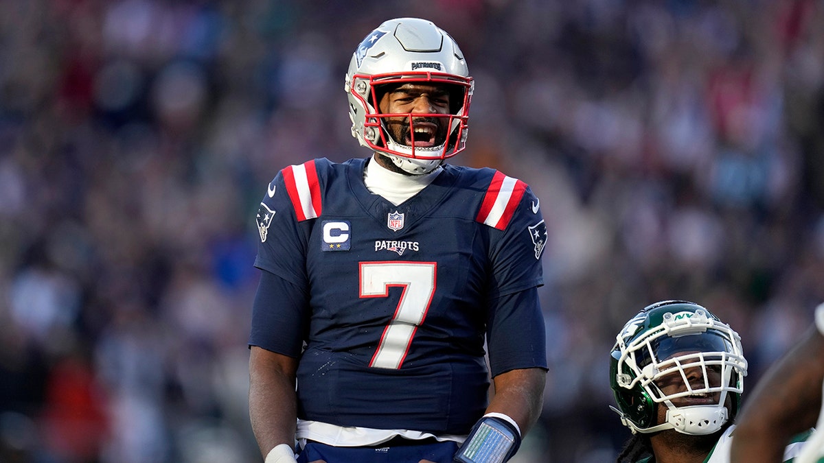 Jacoby Brissett celebrates