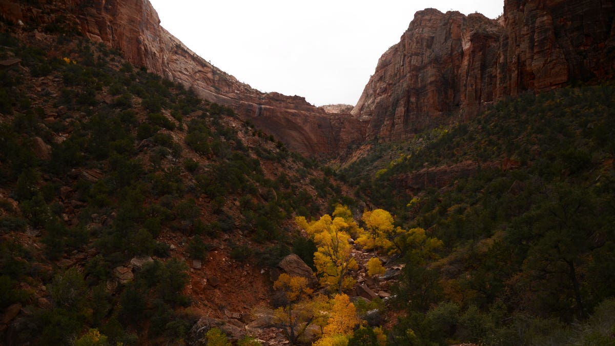 Pine Creek 