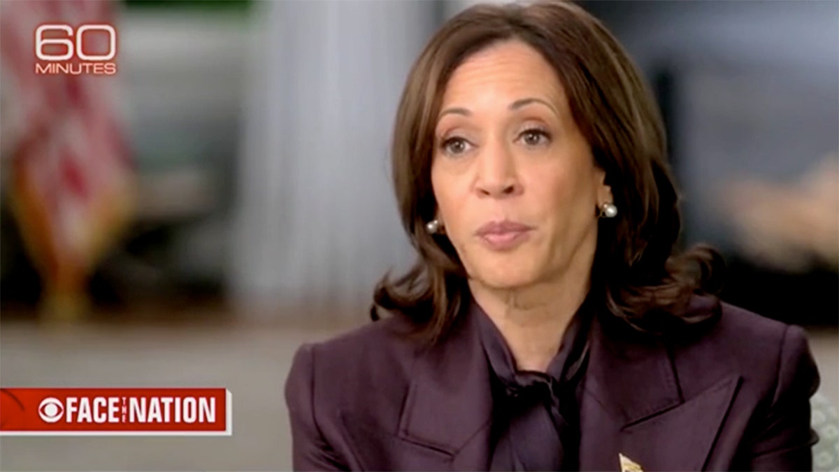 Harris says wealthy Americans, corporations will pay higher taxes to fund economic plan  at george magazine