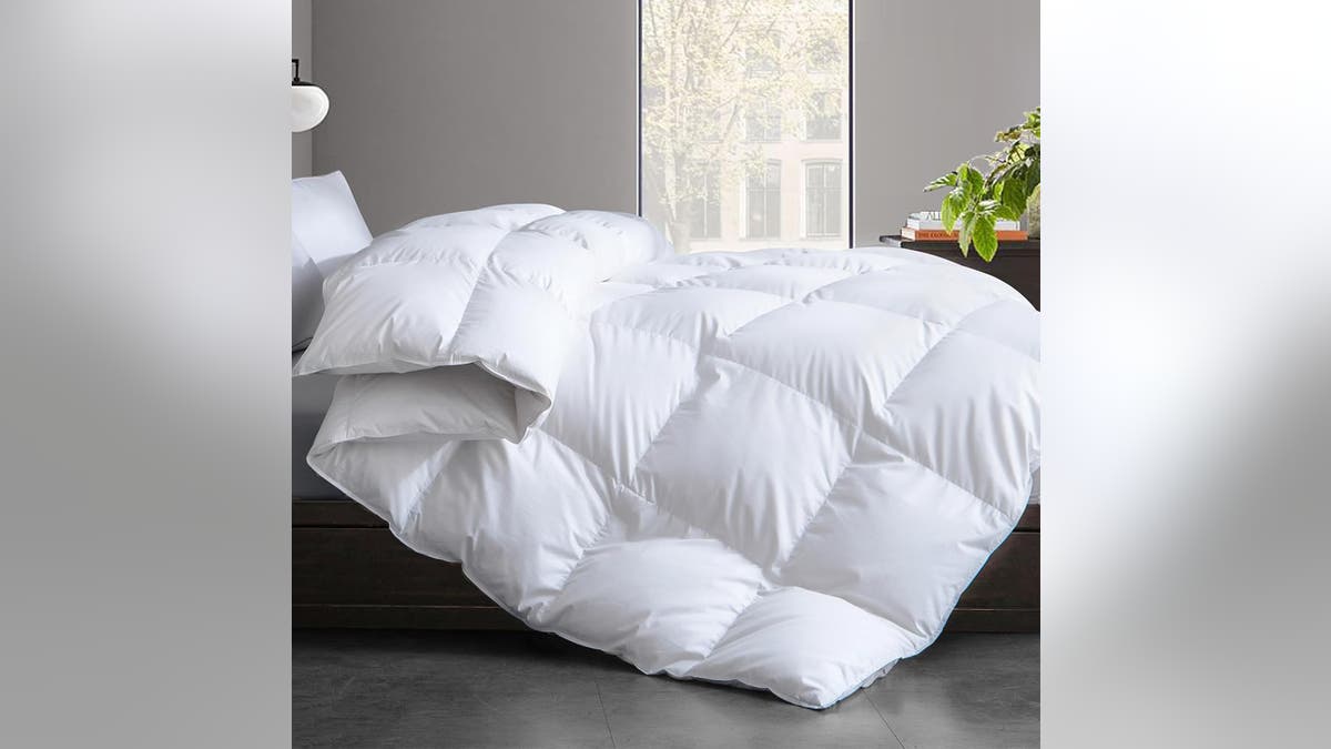 Down comforters are the ultimate heat source for your bed in the winter.?